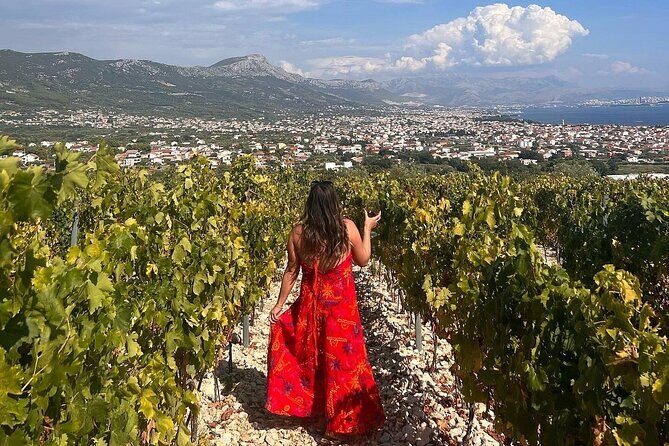 Private Krka Waterfalls Tour from Split Fast Track Entry - The Sum Up: Who Is This Tour Best For?