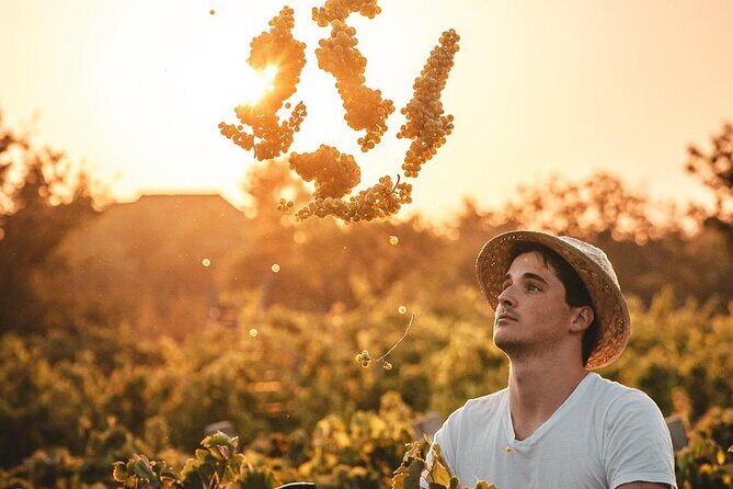 Private Krka Waterfalls Tour with Wine Tasting - A Closer Look at the Tour Experience