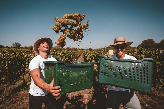 Private Krka Waterfalls Tour with Wine Tasting - Final Remarks