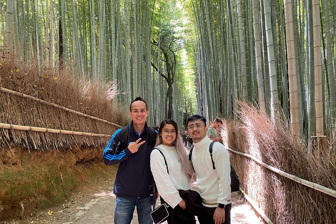 Private Kyoto Day Tour From Osaka - Supplied By