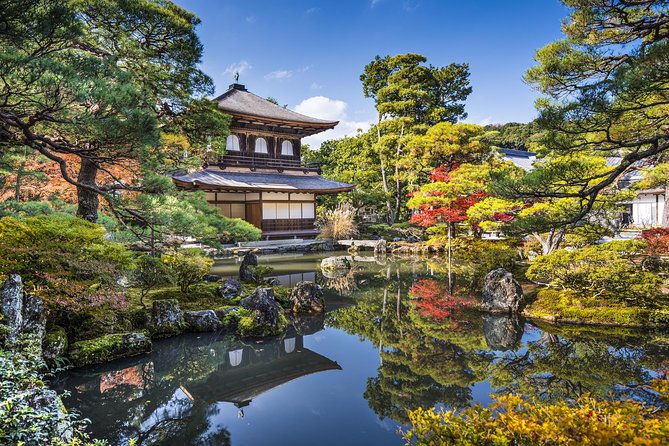 Private Kyoto Tour for Families With a Local, 100% Personalized - Family-Friendly Attractions