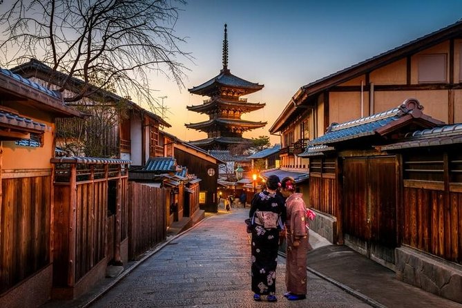 Private Kyoto Tour for Families With a Local, 100% Personalized - Local Tips and Navigation