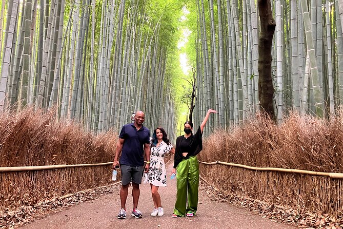 Private Kyoto Tour With Government-Licensed Guide and Vehicle (Max 7 Persons) - Licensed Local Guides