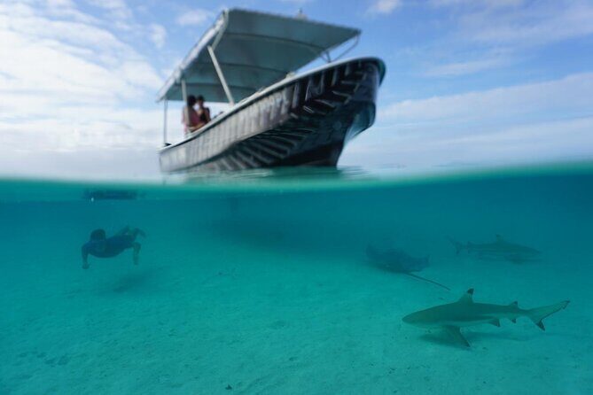 Private Lagoon Exploration and Snorkeling in Moorea - The Practicalities: What’s Included and What to Know