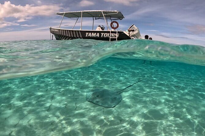 Private Lagoon Exploration and Snorkeling in Moorea - Why This Tour Might Be Right for You