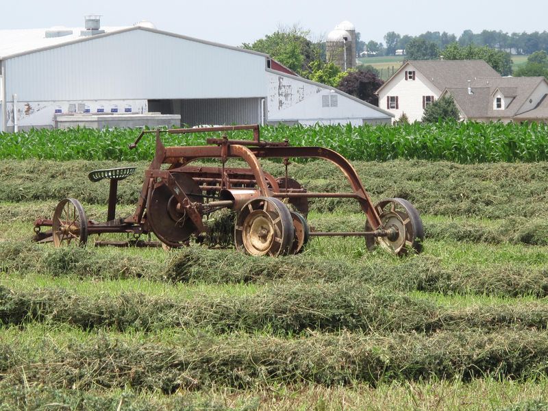 Private Lancaster County Amish Tour From Philadelphia - Customer Reviews