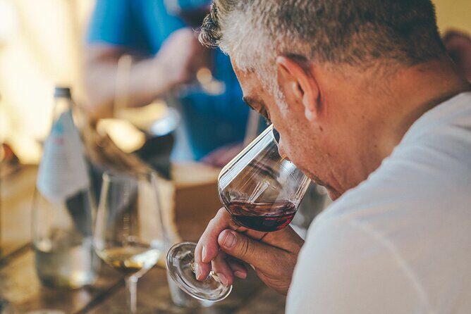 Private Langhe and Barolo Wine Tour from Milan - An In-Depth Look at the Tour Itinerary