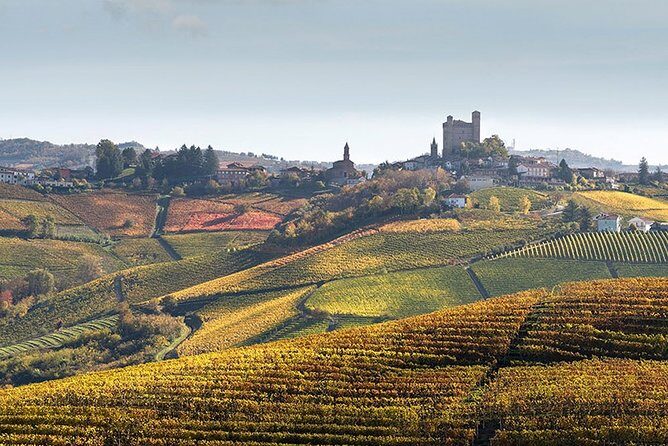 Private Langhe and Barolo Wine Tour from Milan - Final Thoughts: Is This Tour Worth It?
