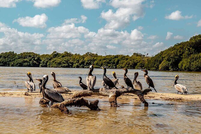 Private Las Coloradas and Ria Lagartos Tour - What to Expect from the Tour