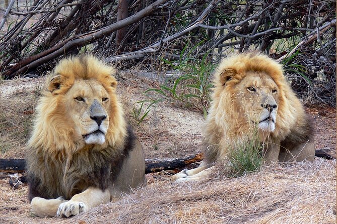 Private Le Cape Animal Farms Full Day Tour - Pricing Details