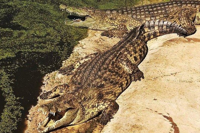 Private Le Cape Animal Farms Full Day Tour - Inclusions and Exclusions