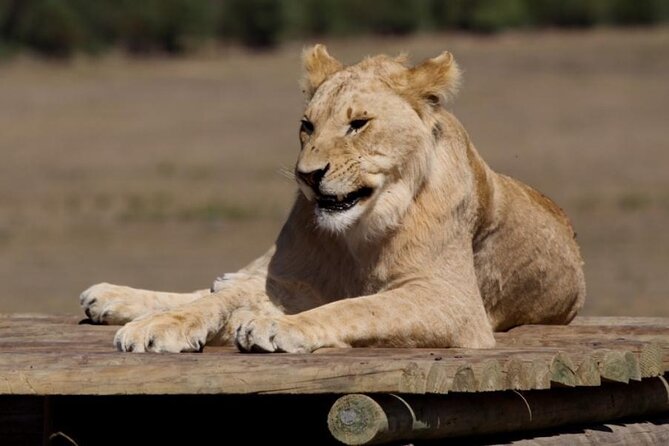 Private Le Cape Animal Farms Full Day Tour - Booking Information