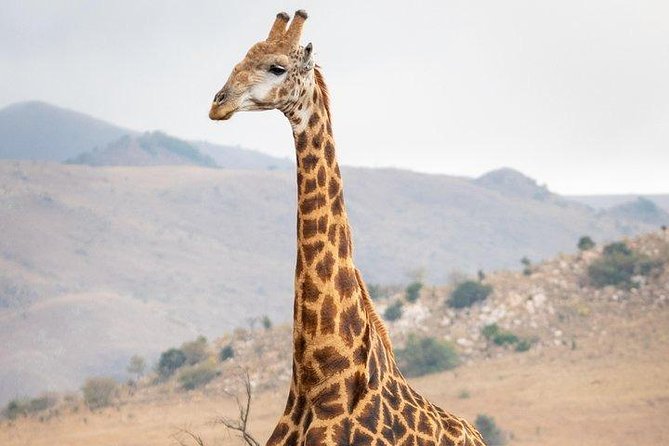 Private Le Cape Animal Farms Full Day Tour - Frequently Asked Questions