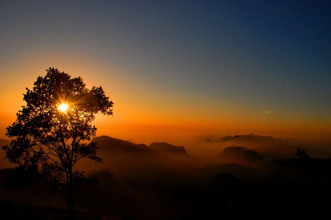 Private Lion Safari in the Gir National Park in Gujarat - Safari Experience Details