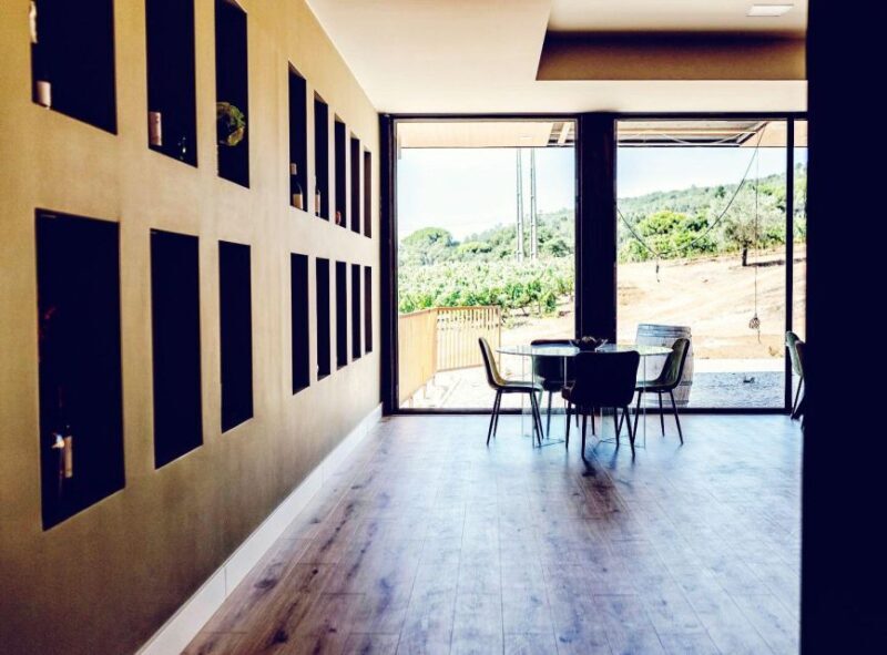 Private Lisbon Arrábida Wine Tour: Culture, Scenery & Wines - Who Should Consider This Tour?