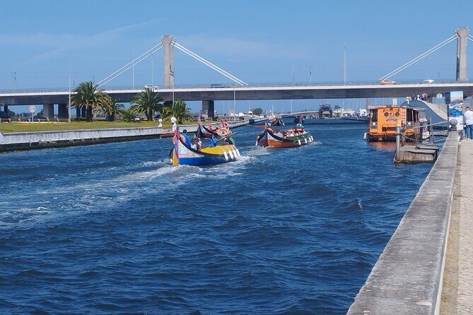 Private Lisbon to Porto tour - Scenic Stops - Electric Vehicle - What Sets This Tour Apart