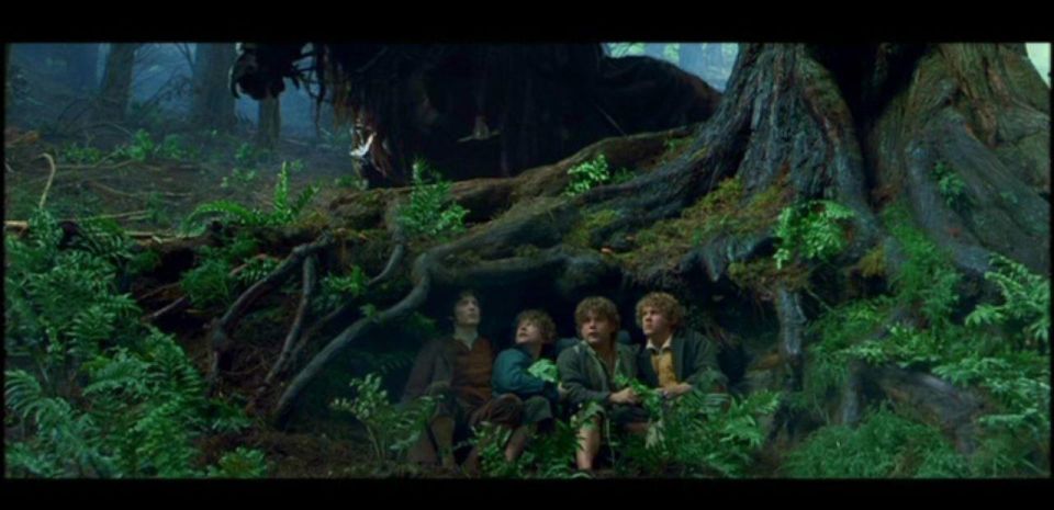 Private Lord of the Rings Tour Wellington With Lunch - Optional Stops and Drop-off Locations