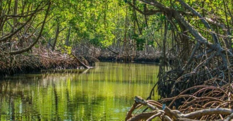 Private: Los Haitises National Park 2-Day Tour with Meals - The Eco-Retreat Experience at Caño Hondo