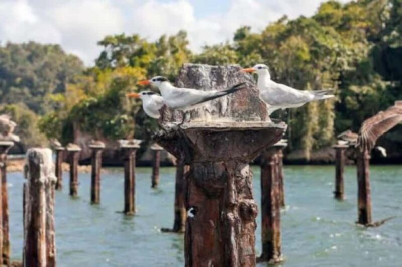 Private: Los Haitises National Park 2-Day Tour with Meals - Practical Details: What to Expect and How to Prepare