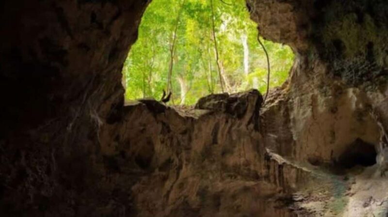 Private: Los Haitises National Park 2-Day Tour with Meals - Final Thoughts: Is It Worth It?