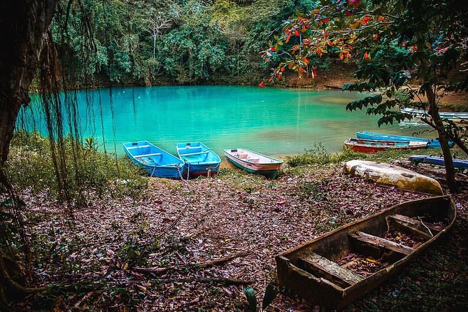 Private Los Haitises National Park and Caño Hondo Guided Tour With Lunch - Exploring Los Haitises National Park