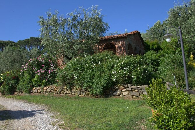 Private Lucca Wine Tour With Lunch and Tastings - Accessibility Features