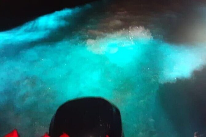 Private Luminous Blue Lagoon Night Tour in Falmouth - An Introduction to the Blue Lagoon Night Tour