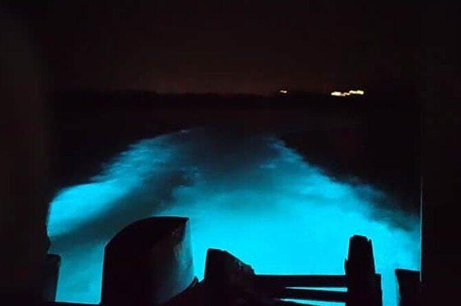 Private Luminous Blue Lagoon Night Tour in Falmouth - The Itinerary in Detail