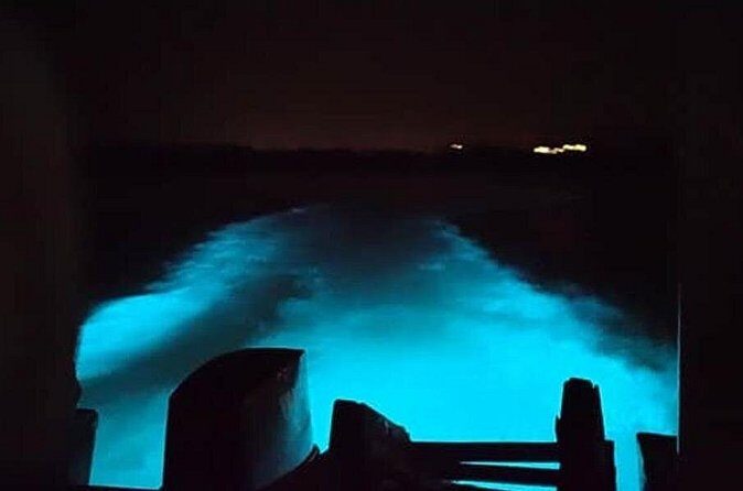 Private Luminous Blue Lagoon Night Tour in Falmouth - Price and Value Analysis