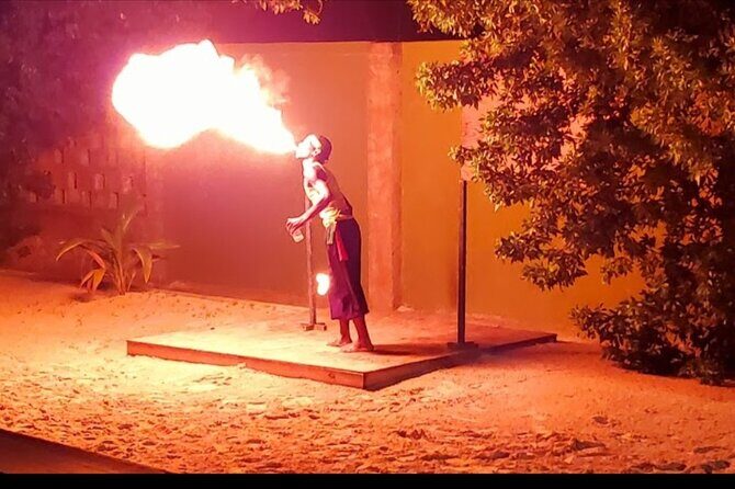 Private Luminous Lagoon Tour from Montego bay - Activities and Entertainment: The Heart of the Tour