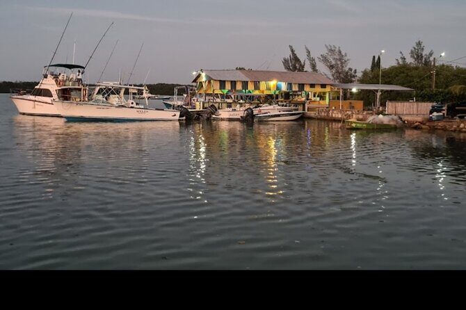 Private Luminous Lagoon Tour from Montego bay - Analyzing the Value: Is It Worth It?