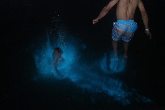 Private Luminous Lagoon Tour from Montego Bay - Introduction