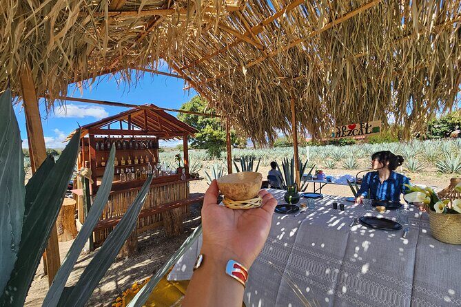 Private Lunch in Mezcal Maguey Fields - Practical Details and Logistics