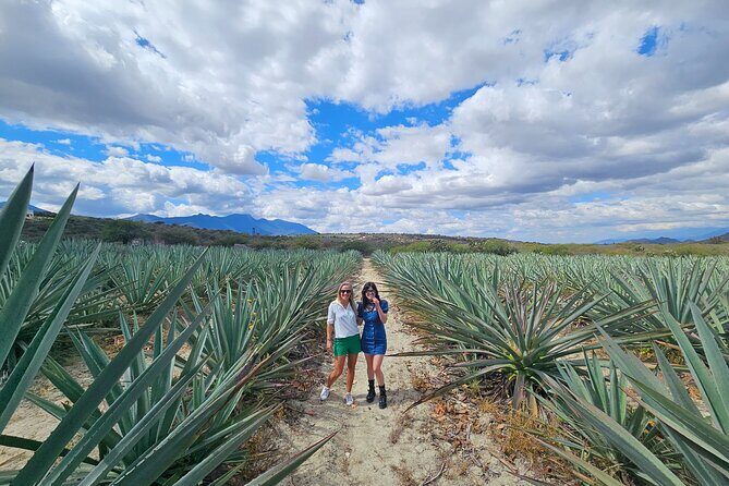Private Lunch in Mezcal Maguey Fields - Who Will Love This Tour?