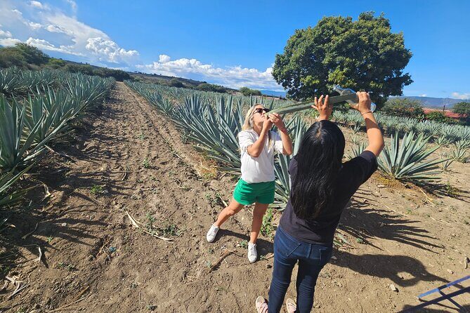 Private Lunch in Mezcal Maguey Fields - FAQ