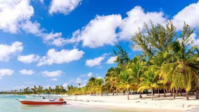 Private: Lunch on a Catamaran Cruise Around Catalina Island - What to Expect from the Catamaran Tour