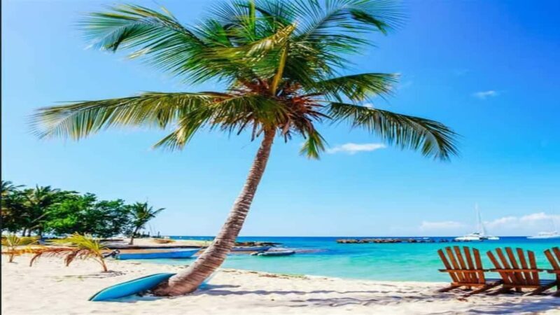 Private: Lunch on a Catamaran Cruise Around Catalina Island - Transportation, Timing, and Value