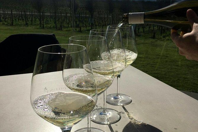 Private, Luxury and Tailored Yarra Valley Wine Tour - Final Thoughts