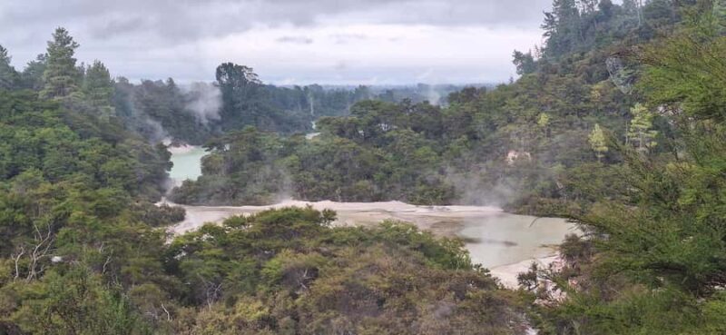 Private Luxury Auckland - Rotorua Geothermal Wonderlands - An Elegant Day Out: The Private Tour Experience