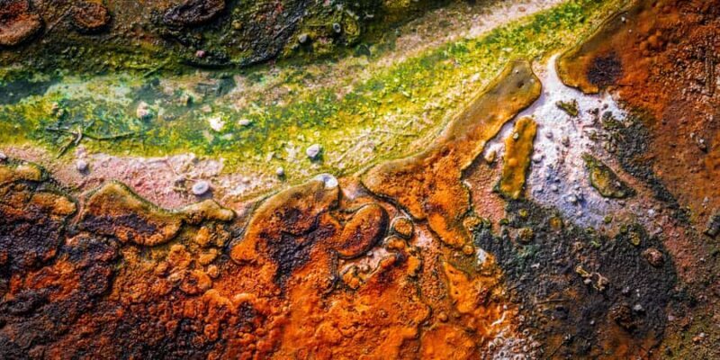 Private Luxury Auckland - Rotorua Geothermal Wonderlands - Lunch and Leisure: Savoring Local Flavors