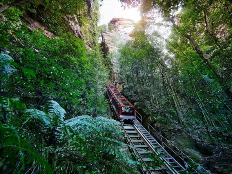 PRIVATE LUXURY BLUE MOUNTAINS ADVENTURE | FROM SYDNEY - Key Points