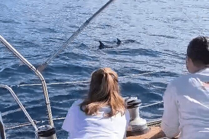 Private Luxury Boat Excursion Tour in Puerto Colon - FAQ