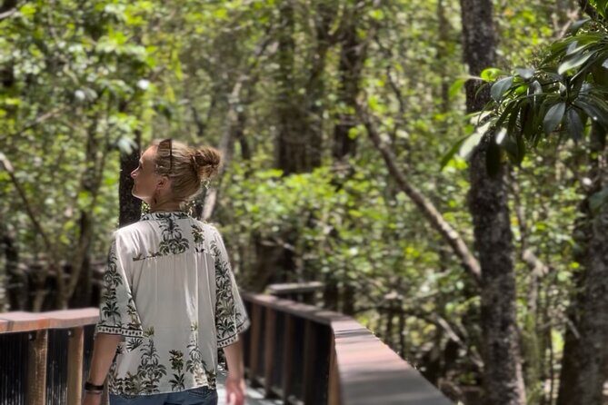 Private Luxury Cape Tribulation Adventure and Crocodile Cruise - Key Points