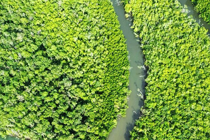 Private Luxury Cape Tribulation Adventure and Crocodile Cruise - FAQ