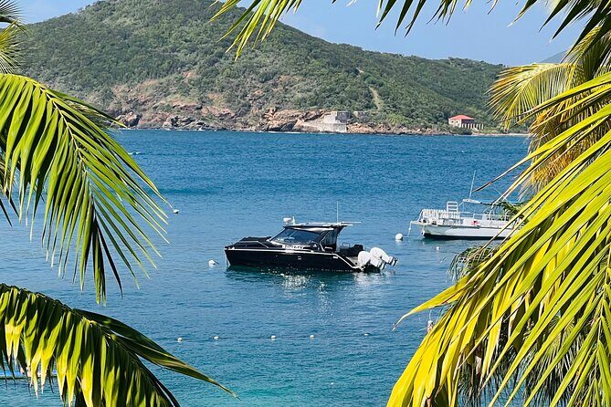Private Luxury Catamaran Half Day Charter - A Deep Dive into the Private Luxury Catamaran Half Day Charter in St. Thomas