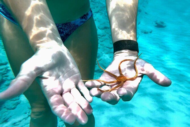 Private Luxury Catamaran Half Day Charter - Whats Included and Whats Not