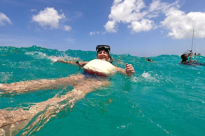 Private Luxury Catamaran to Saona or Catalina Island - The Key Highlights of the Tour