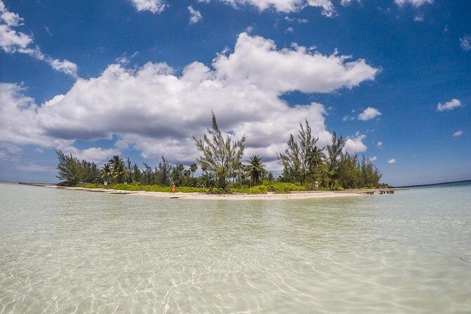 Private, luxury, custom charters to Stingray City, Snorkeling & More - An In-Depth Look at the Tour