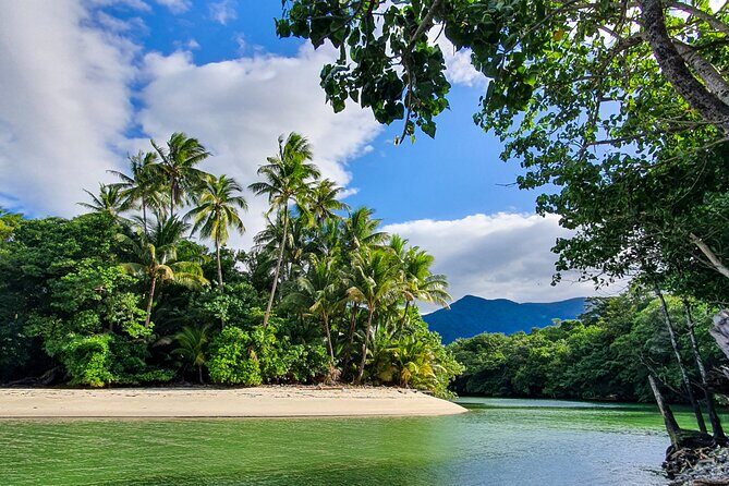 Private Luxury Daintree Dream Tour All Inclusive - Key Points