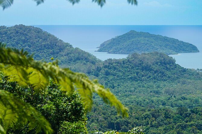 Private Luxury Daintree Dream Tour All Inclusive - The Sum Up: Who Will Appreciate This Tour?